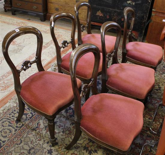 Six Victorian mahogany balloon back dining chairs